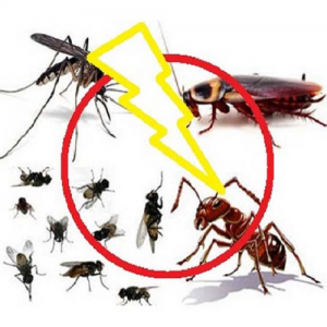 Dịch vụ phun thuốc diệt côn trùng - sát khuẩn